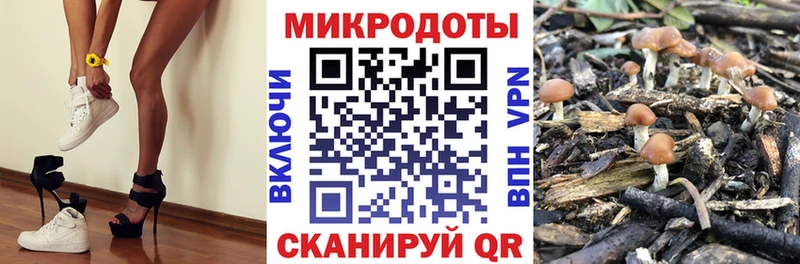 blacksprut ссылка  Холм  Псилоцибиновые грибы Magic Shrooms 